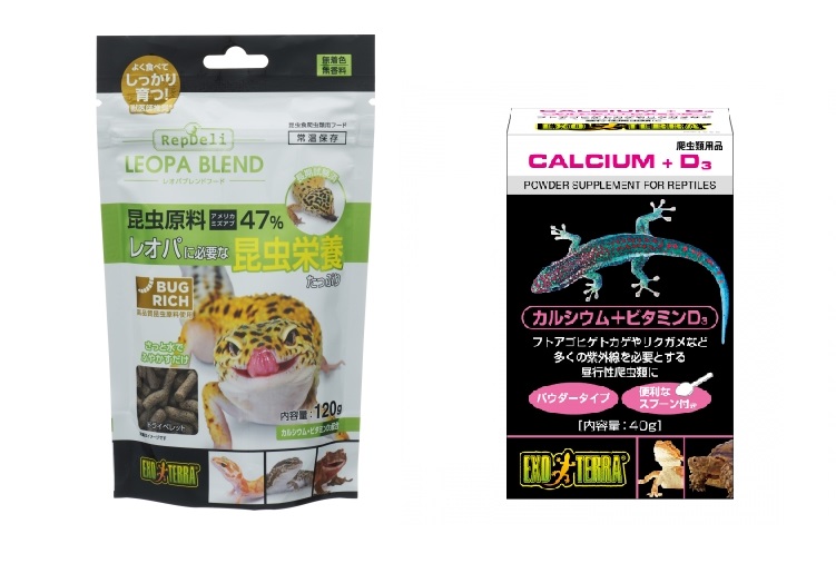 爬虫類 両生類 飼育用品 Q&A 爬虫類 両生類 飼育用品 Q&A